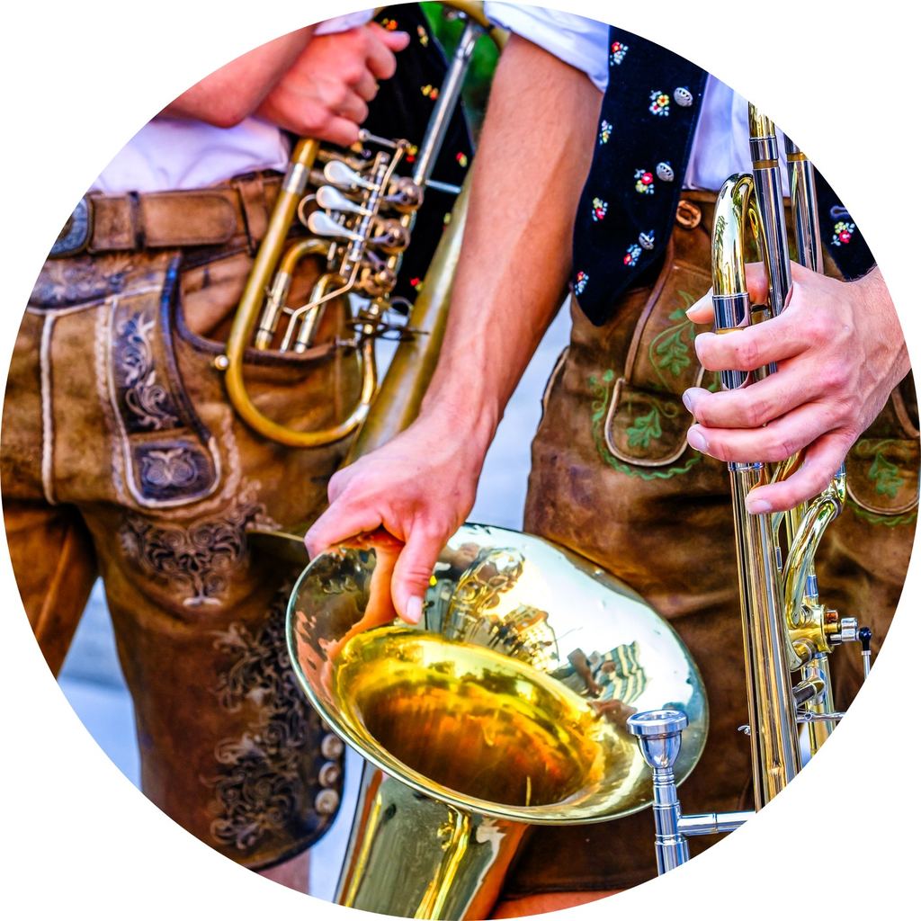 Traditional Bavarian instruments: accordion, brass and zither